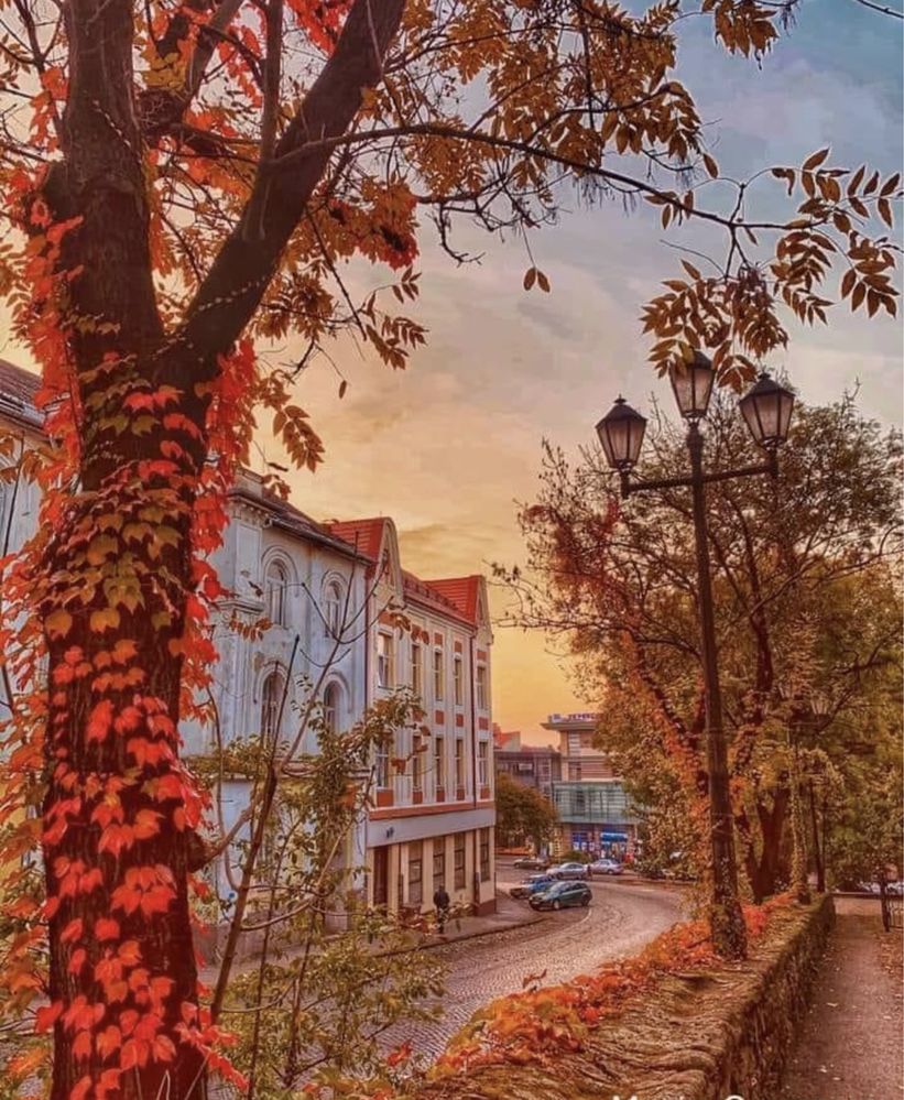 Довготривала оренда в центрі Ужгороду від власника