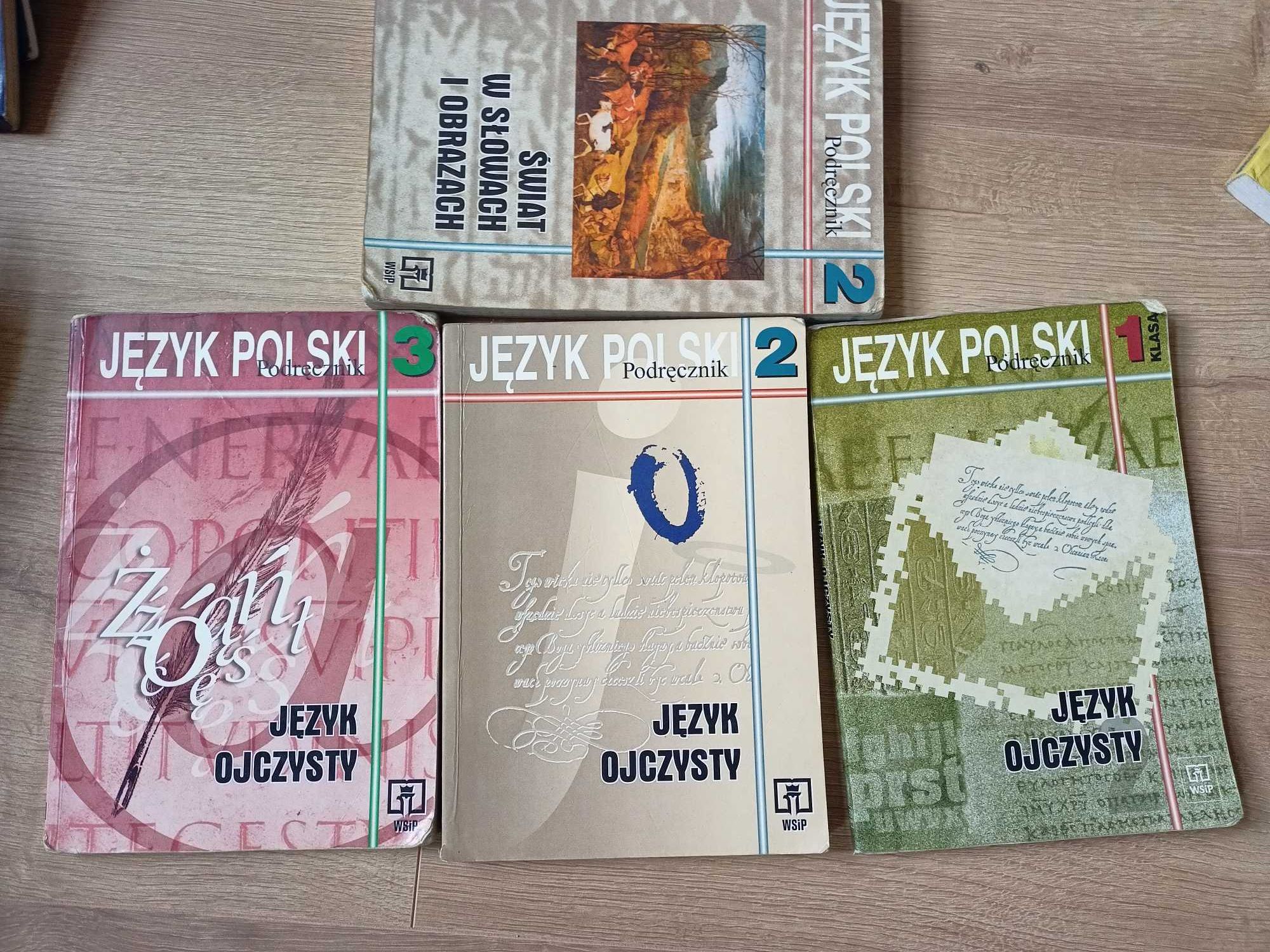 Język polski podręczniki 1, 2 i 3 klasa - Język ojczysty