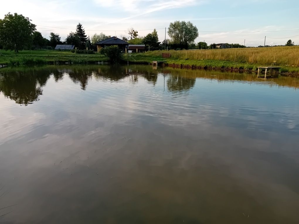 Zapraszam na łowisko Bogucin