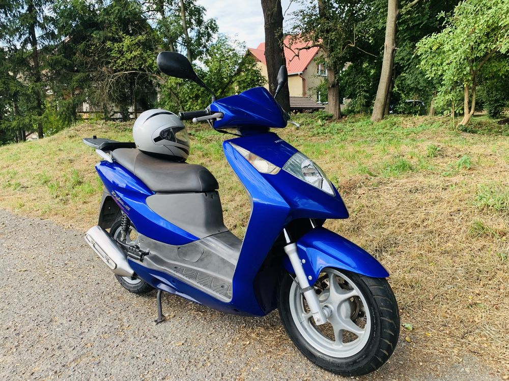 Honda Dylan 125 Na Kat. B Oryginal
