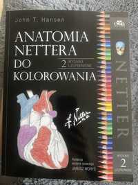 Anatomia Nettera do kolorowania nowa