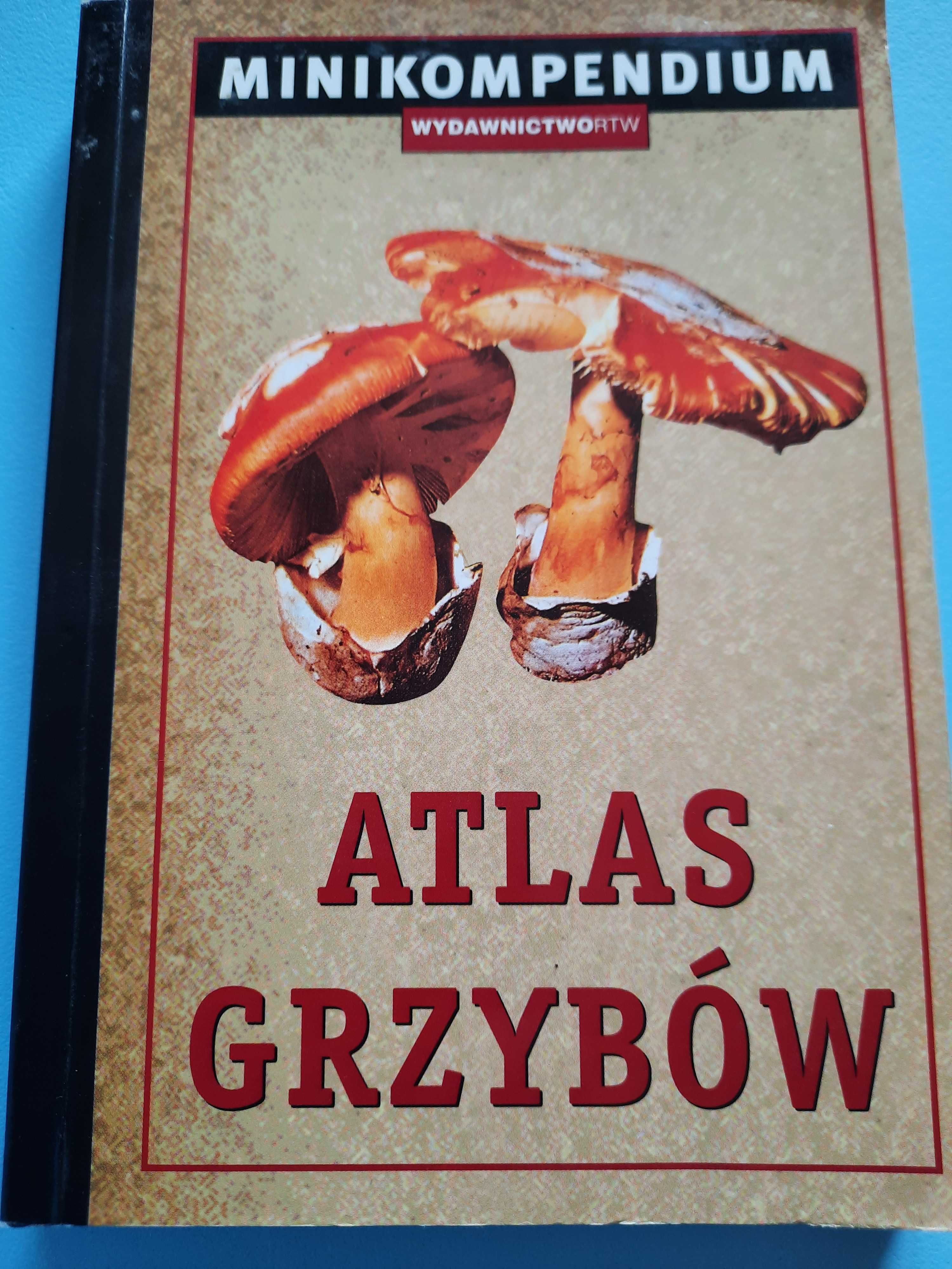 Atlas grzybów - minikompedium