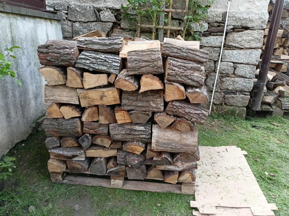Drzewo opałowe suche Dąb, klon-jawor