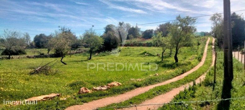 Terreno Rustico com  2 casas