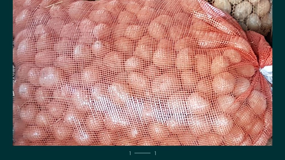 Ziemniaki kartofle jadalne bardzo dobre