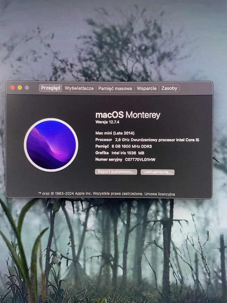 Mac mini 128gb Intel 5