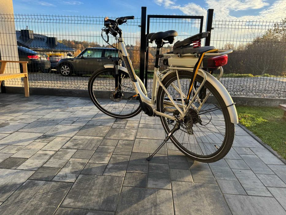 Rower elektryczny Rock Machine Cityride E100