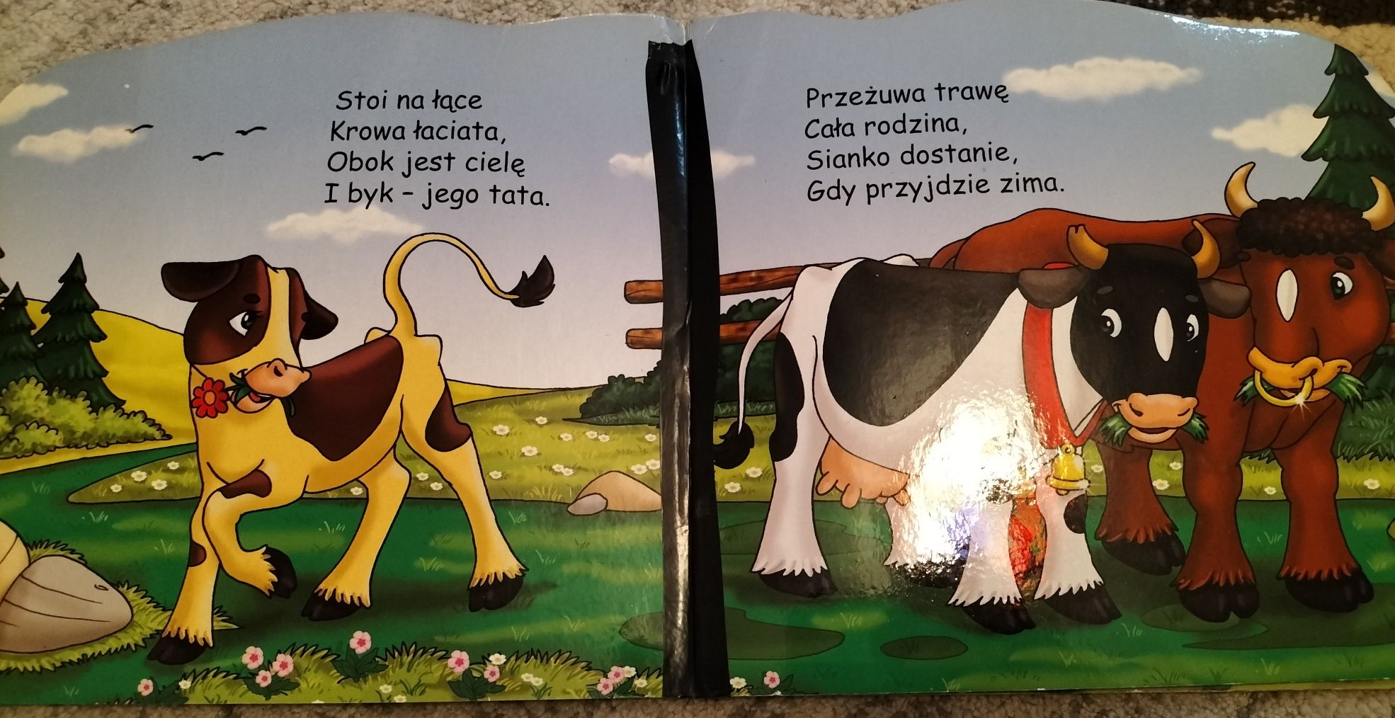Książeczka "Zwierzęta i ich młode"