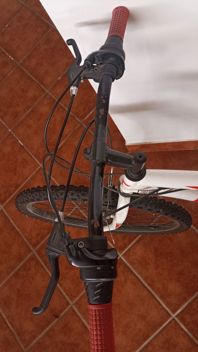 Bicicleta de adulto