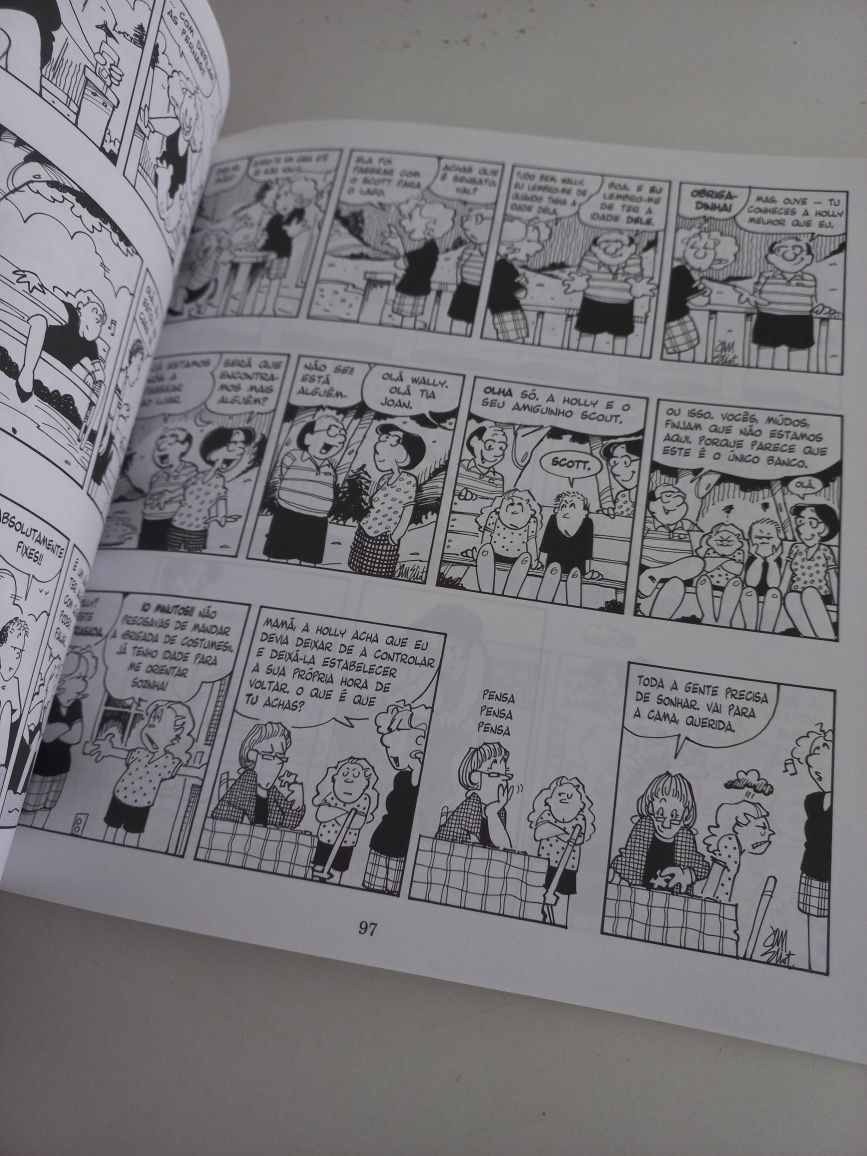 Livro de banda desenhada SOPA DE PEDRA.