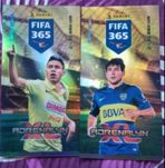 Limited edition fifa 365