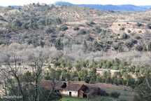 Herdade  para venda