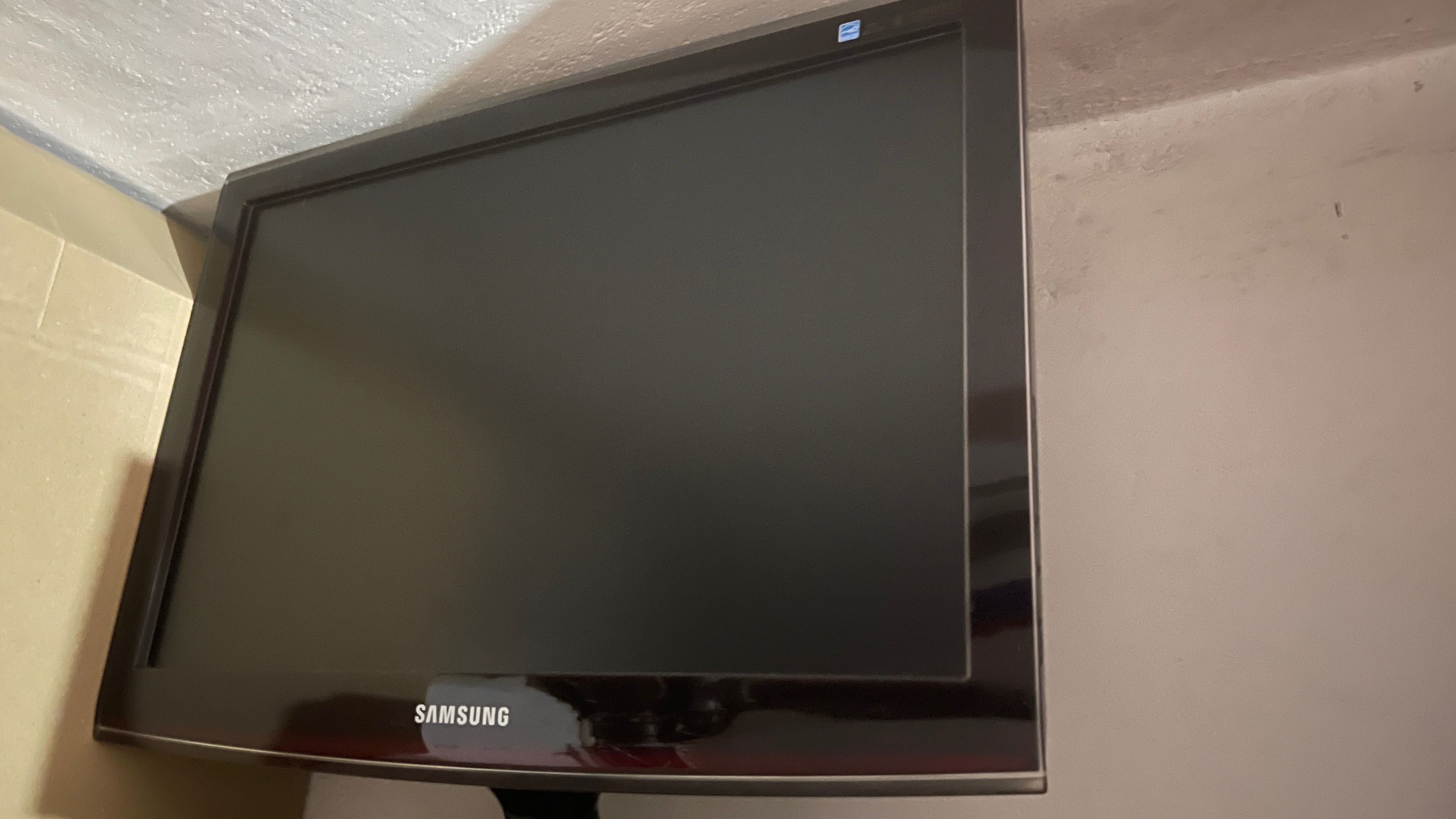 Monitor Samsung LS20