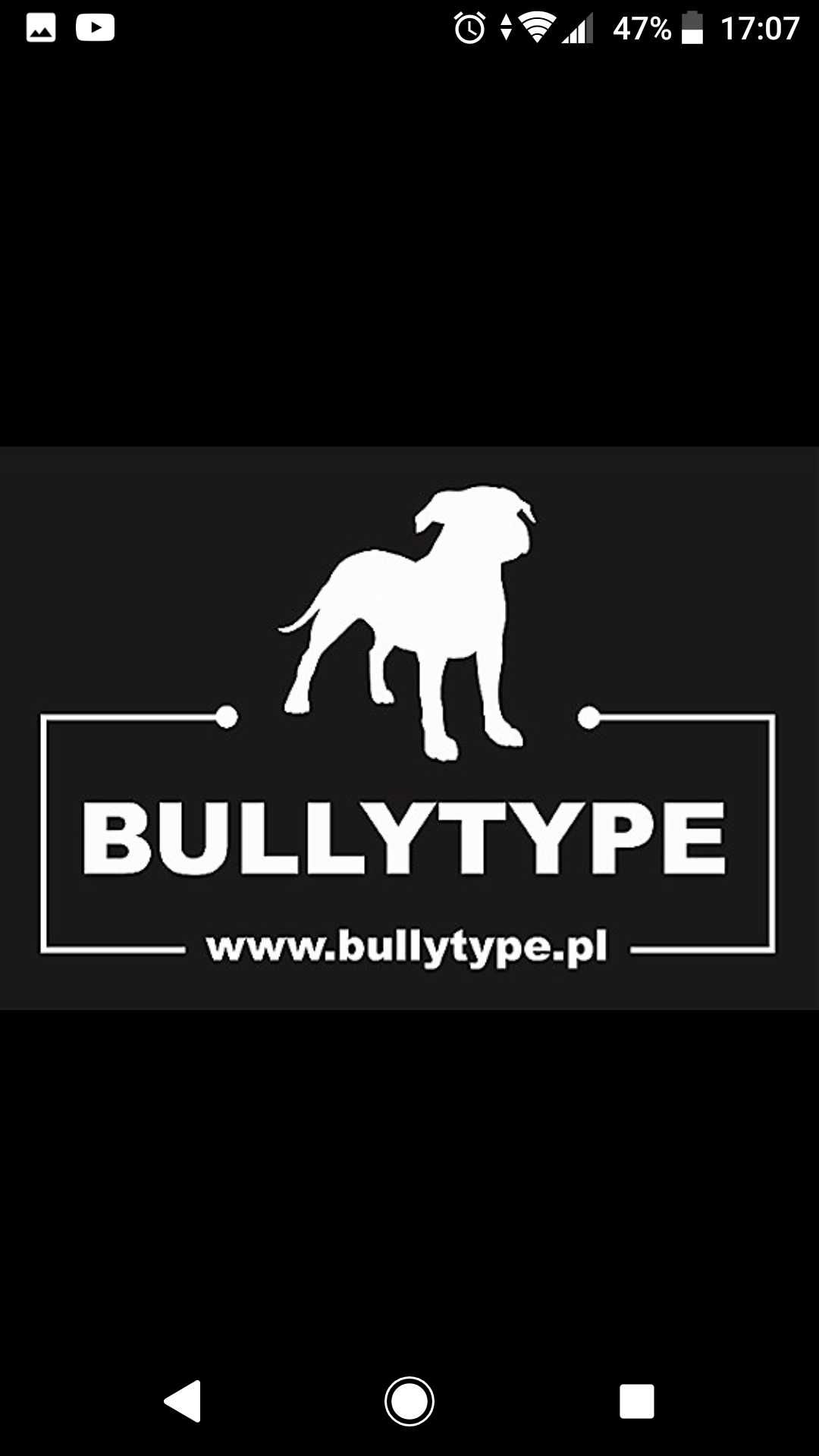 Szkolenie psów - behawiorysta - dogoterapia - bullytype.pl