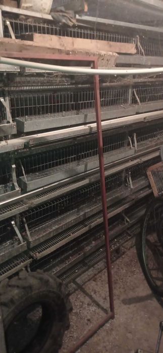 Клітка для перепілок