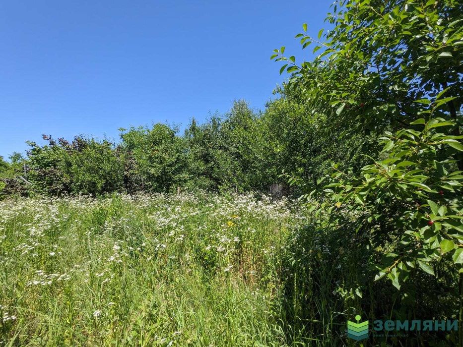 Продається дача с Черніїв (1)