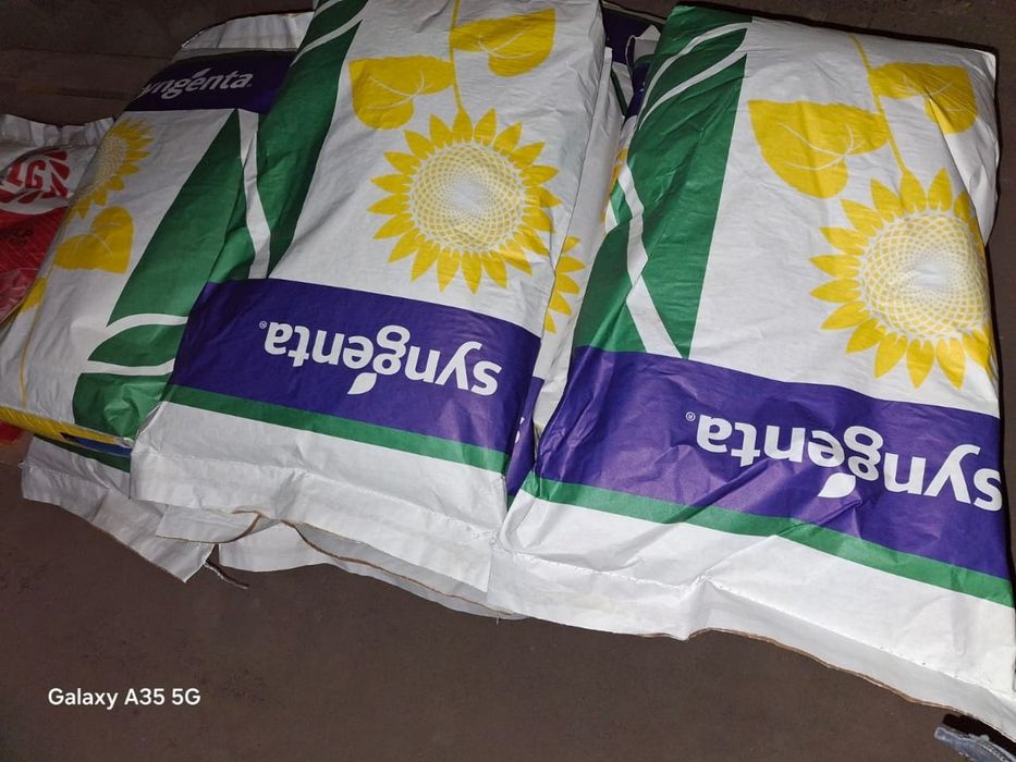 Соняшник нк конди