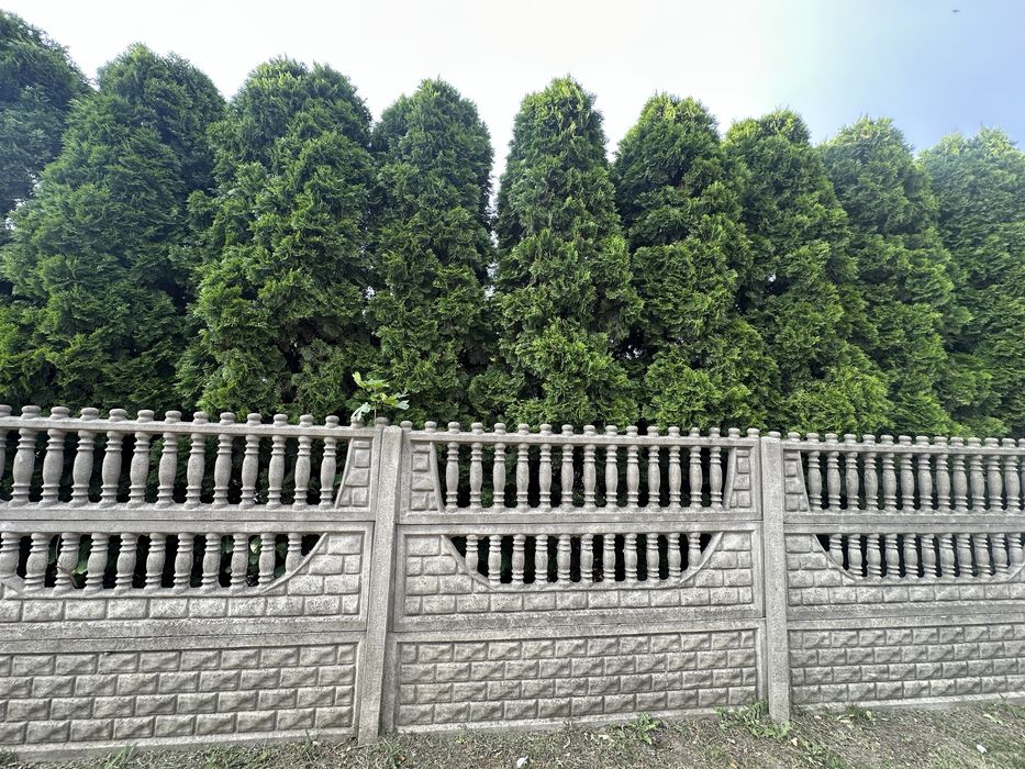 płyty betonowe, płot betonowy
