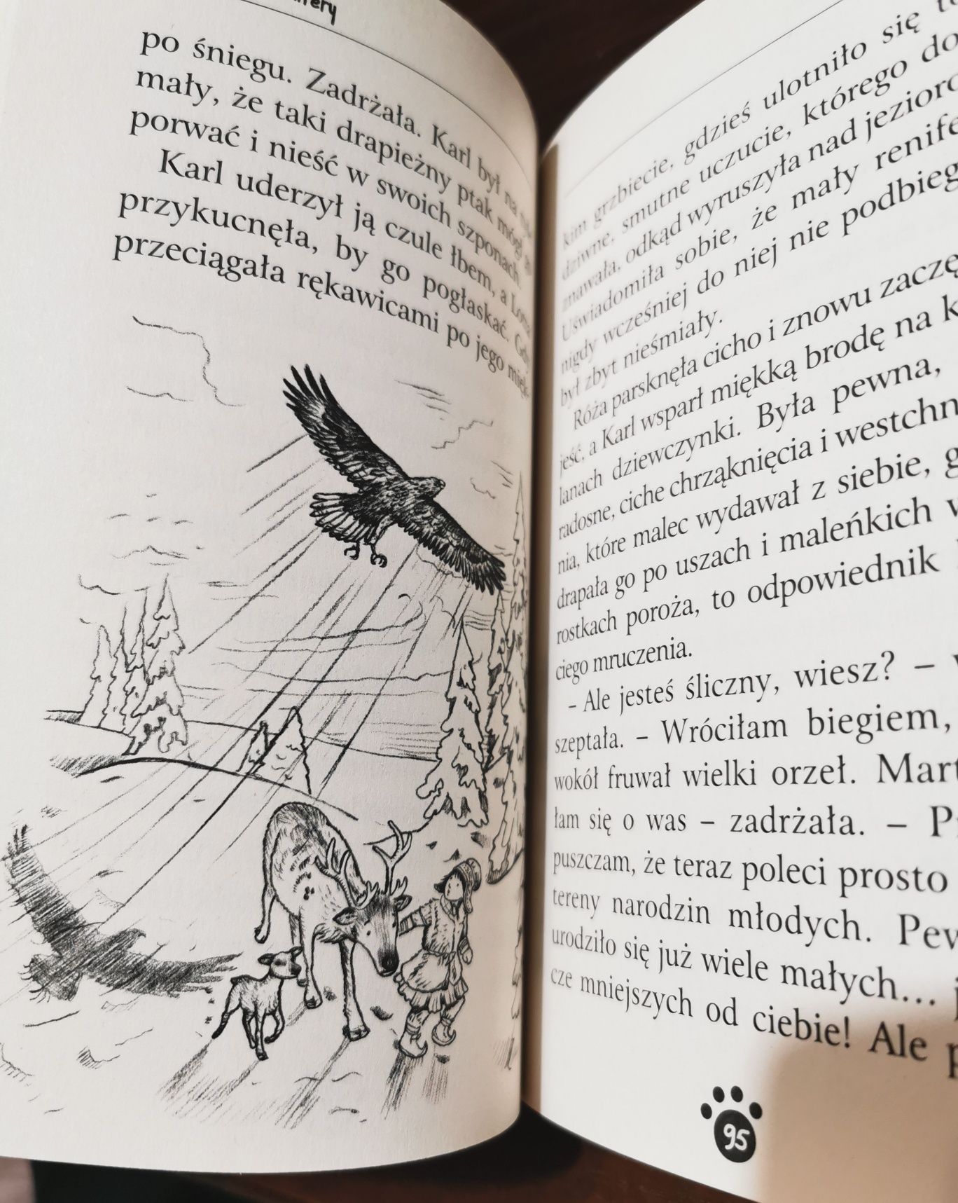 Mała Lotta i renifery Holly Webb seria zaopiekuj się mną książka