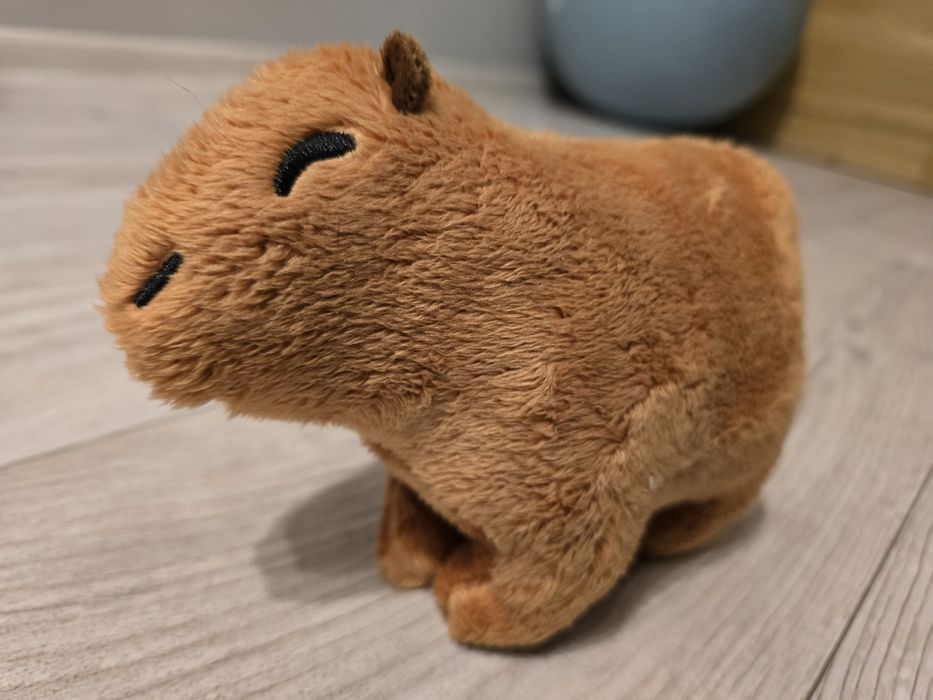 Maskotka kapibara