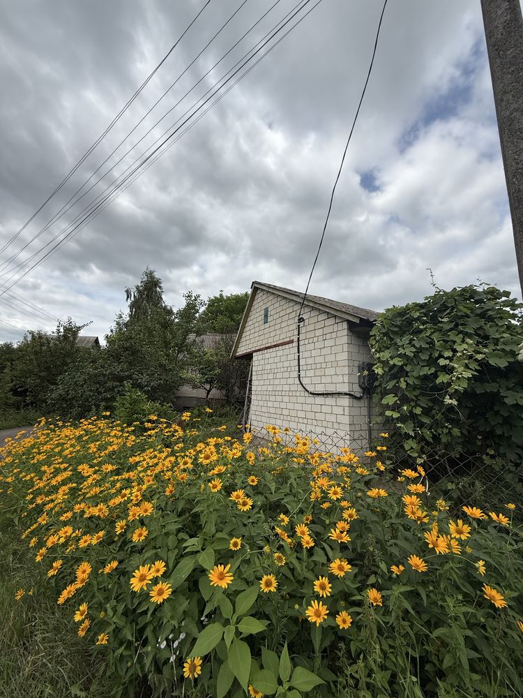 Продам дачу в с.Городищі (Кругле)