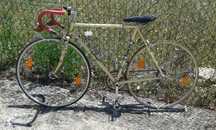Bicicleta e Porta bici Thule