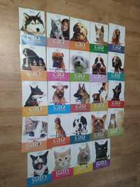 Vendo coleção completa "Guia pedagógico Animais de estimação Cão/ Gato