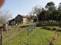 Quinta com vistas para serra do Caramulo