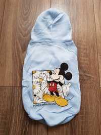 Błękitna bluza z kapturem dla psa Myszka Miki Mickey Mouse Disney M