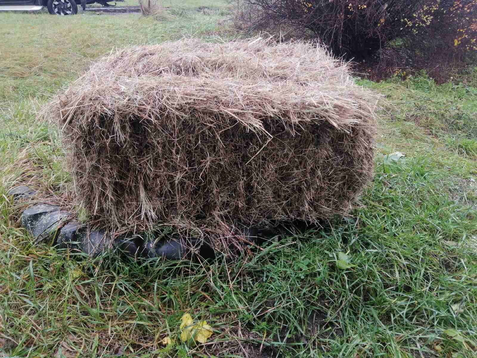 Сіно в тюках лугове