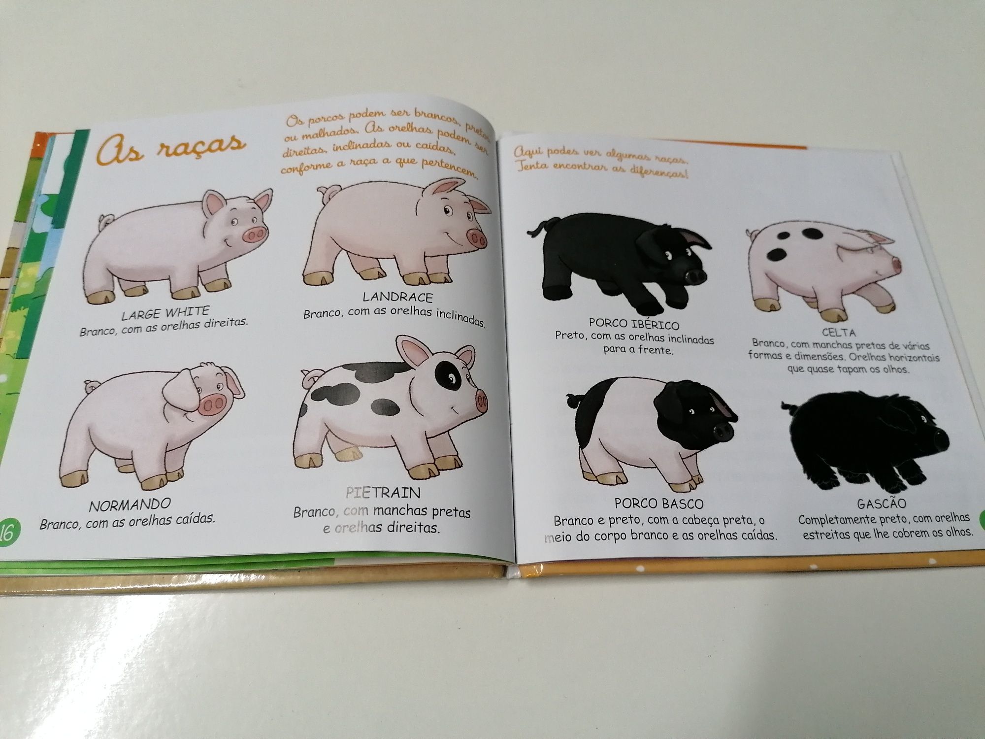 Livro O Porco, a porca e o leitão