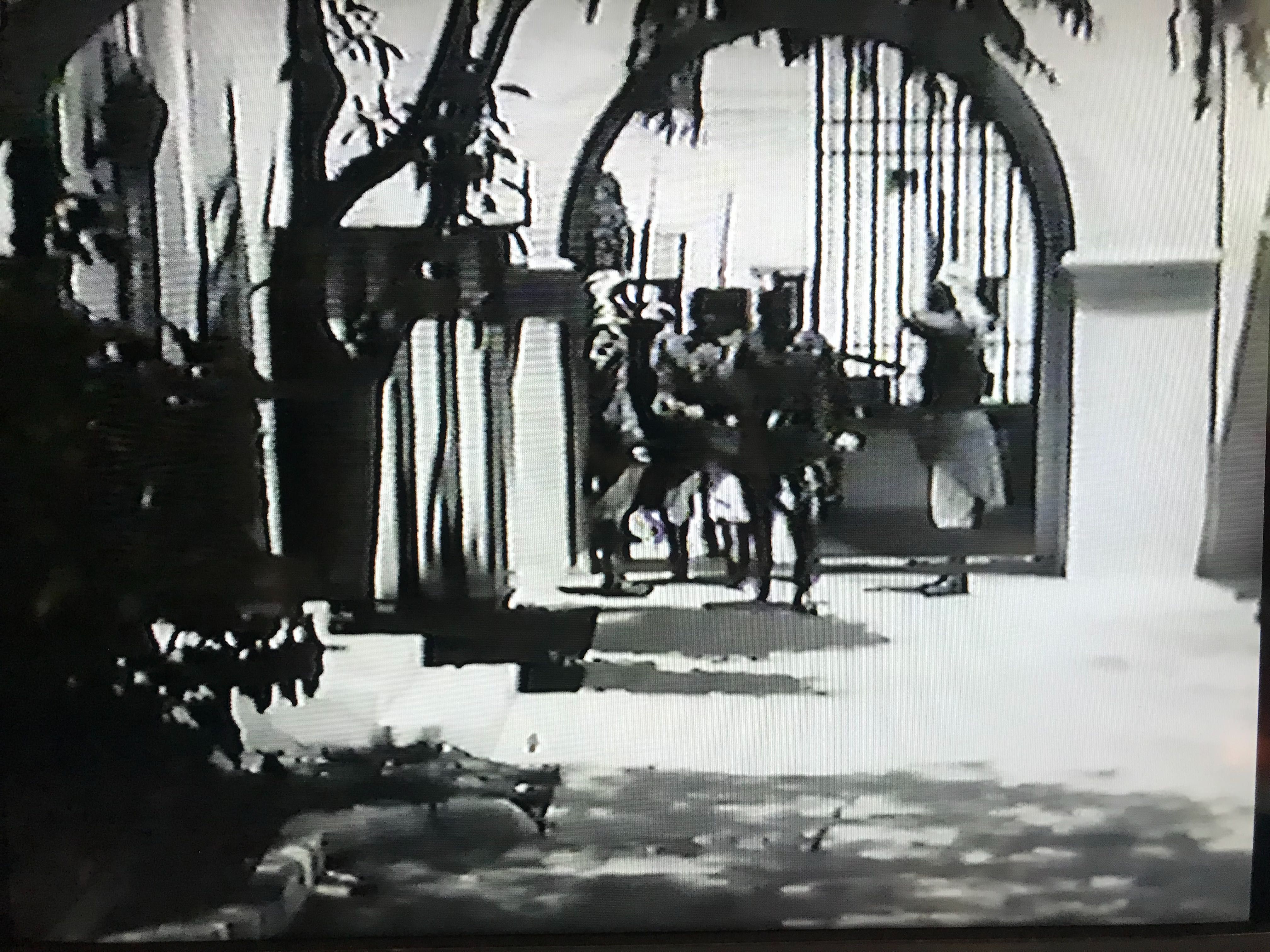 Видеокассета с фильмом "Летающая парочка/The Flying Deuces (1939)