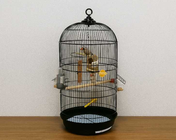 Duża Klatka dla Papug Woliera dla Ptaków dla Kanarka Okrągła NOWA