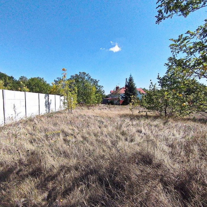 Чарівна котеджна діляночка примістя Дніпра с.Новоолександрівка