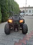 Quad Kingway Minitraper 110