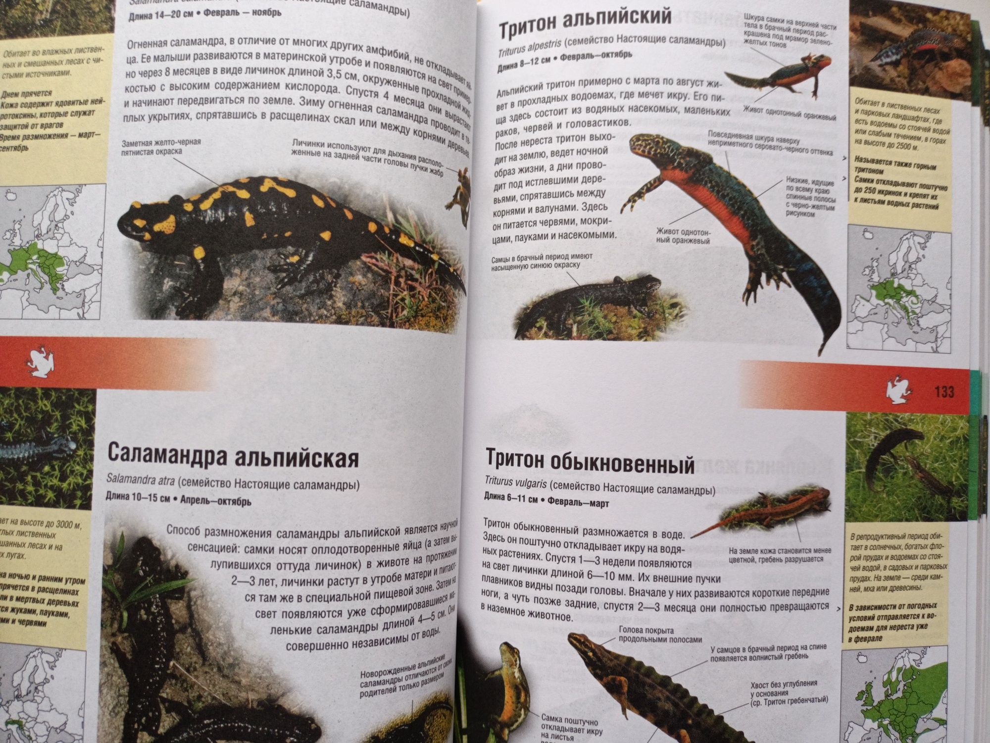 Энциклопедия животных и растений