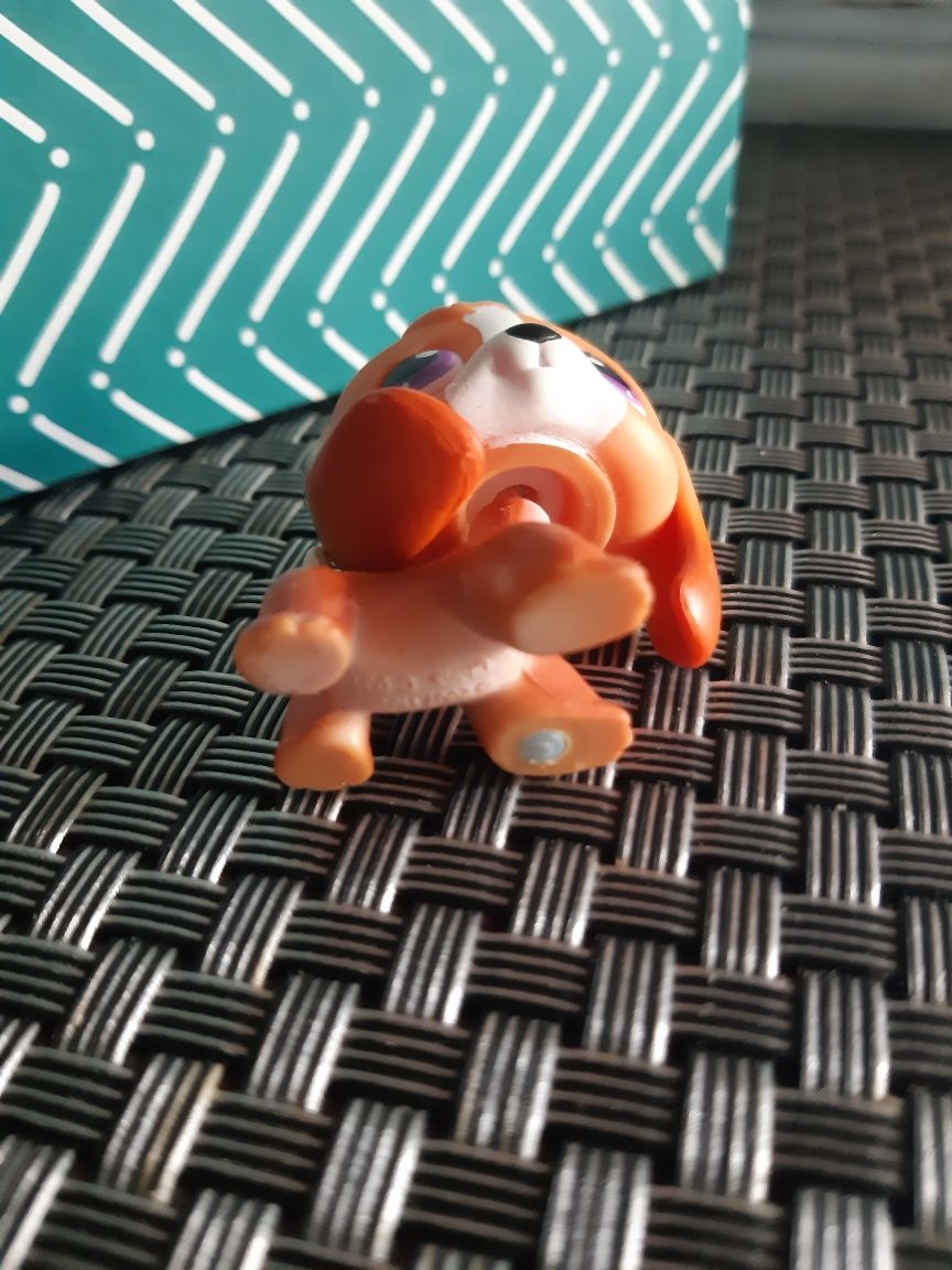Piesek Beagle #301 Hasbro