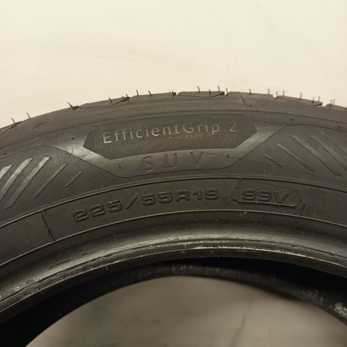 225/55R19 Goodyear Efficient Grip 2