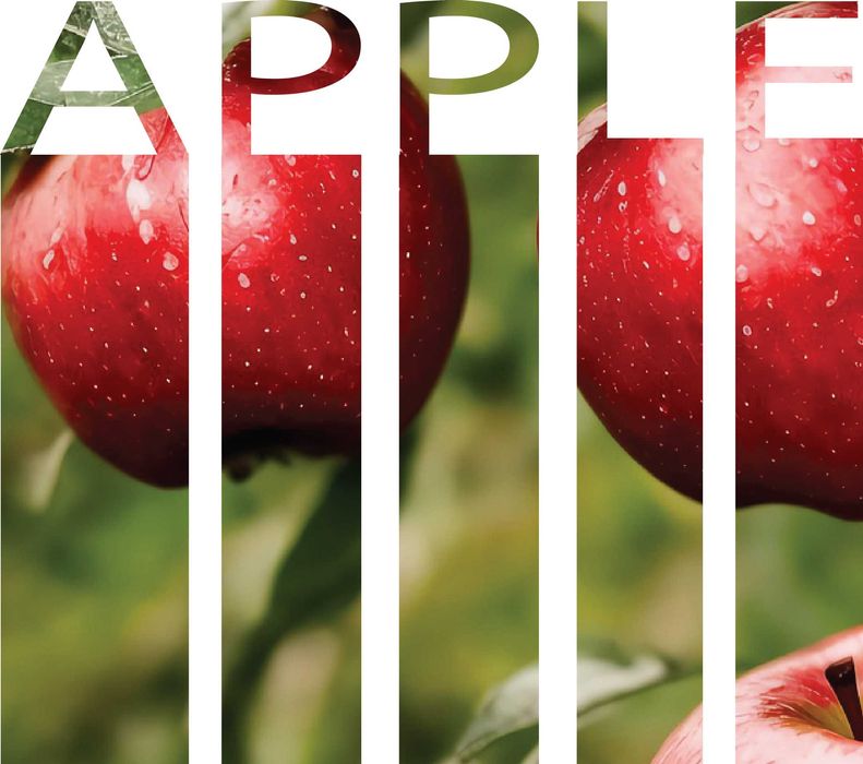 Дизайн, малювання, smm, ретуш онлайн заняття для дітей та дорослих