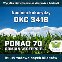 Kukurydza DKC 3418, F1, opak. 50 tys.n. | dlaroslin.pl