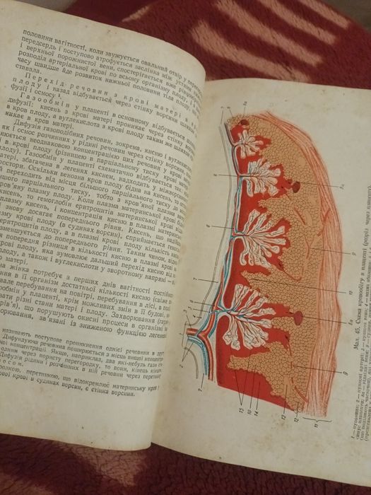 Книга медична 1951 р.