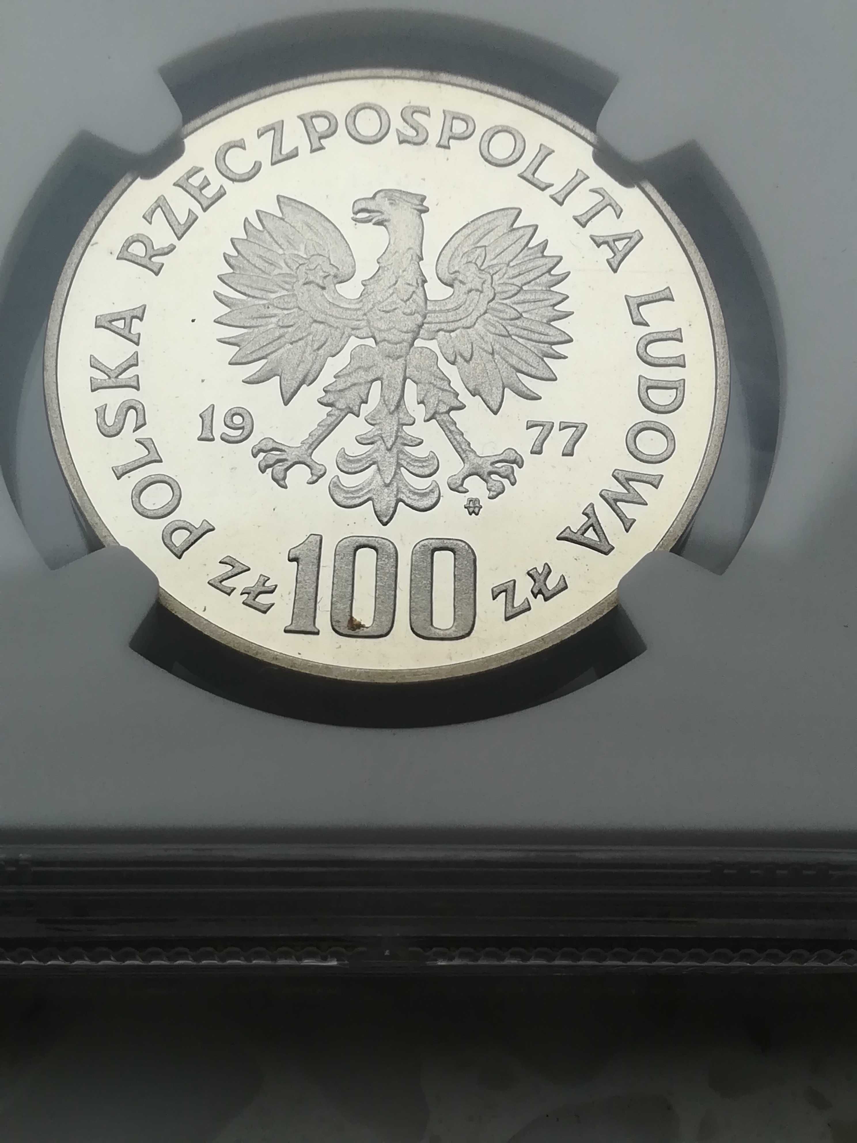 Żubr 100 zł 1977 NGC PF68 Ochrona Środowiska