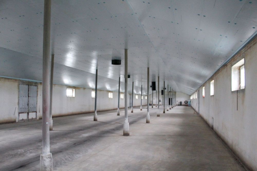 Płyty Termoizolacyjne Podsufitowe Podsufitka Styrodur XPS AGRO