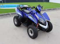 Moto4 Keeway ATV 250 (2 Lugares)
