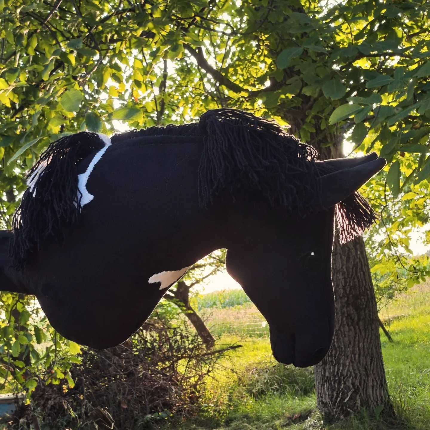 Hobby horse na sprzedaż