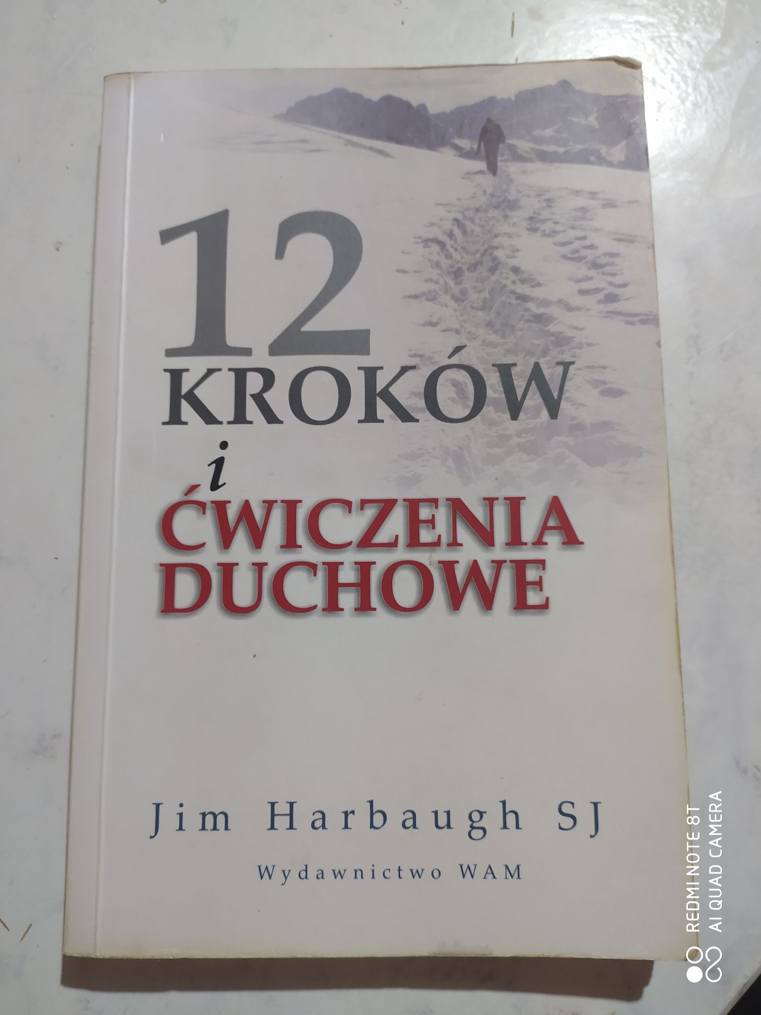 12 kroków i ćwiczenia duchowe Jim Harbaugh