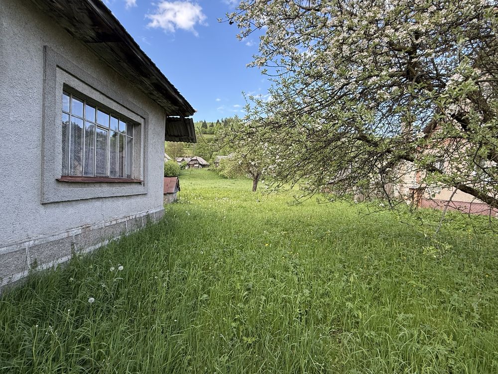 Продається будинок з ділянкою 14 сотих у горах Закарпаття