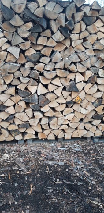 drewno kominkowe Chrzanów