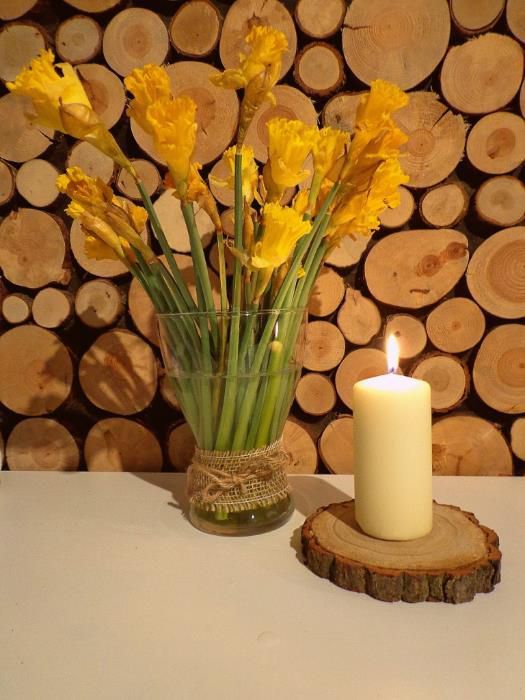 Plastery drewniane krążki drewna brzoza 15-18 cm dąb, fleki,