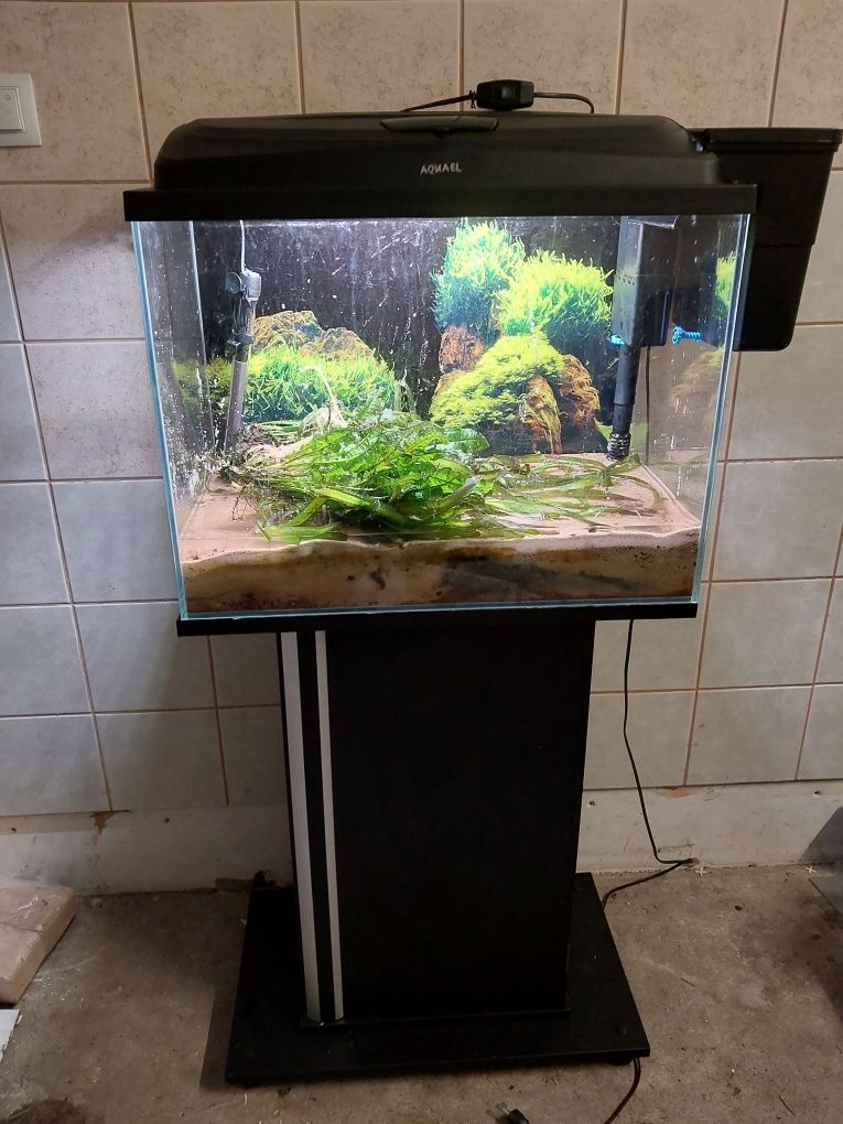 Akwarium Aquale 100l zestaw